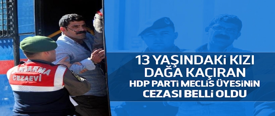 HDP Parti Meclisi üyesi Erhan Arslan'a 12.5 yıl hapis!..