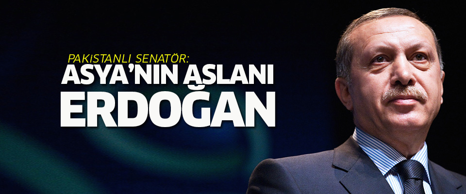 Pakistanlı senatör: Asya'nın aslanı Erdoğan