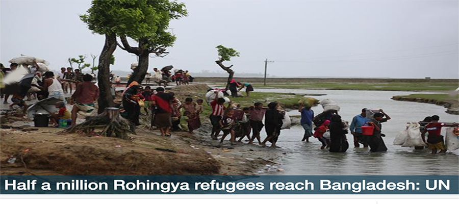 Half a million Rohingya refugees reach Bangladesh: UN