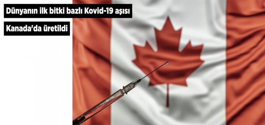 Aşı karşıtlarına müjde!..Dünyanın ilk bitki bazlı Kovid-19 aşısı Kanada'da üretildi