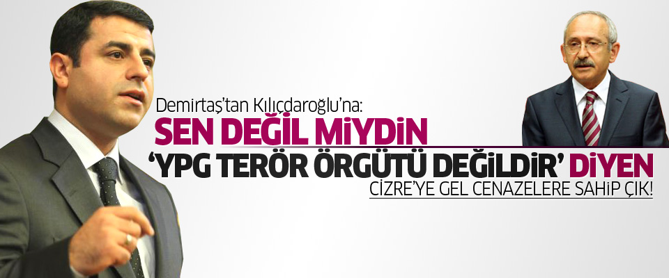 Demirtaş'tan Kılıçdaroğlu'na çağrı: Cizre'ye gel