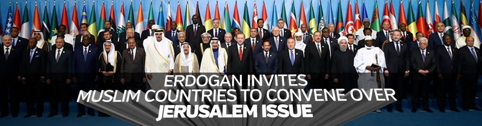 Muslim countries are taking the action over Israel Issue