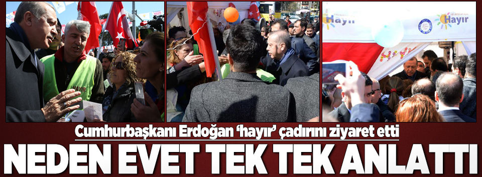 Erdoğan 'Hayır'cılara 'Evet'i anlattı..
