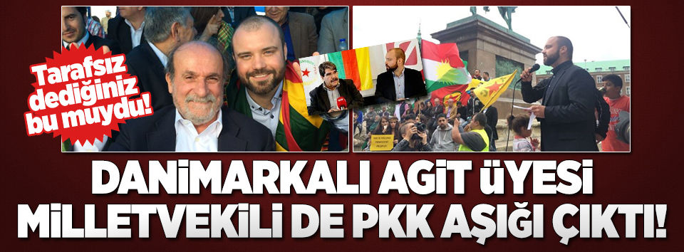Danimarkalı AGİT üyesi de PKK'lı çıktı!..