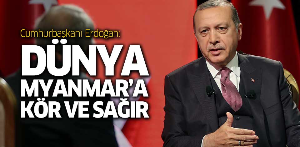 Erdoğan: Dünya Myanmar'a kör ve sağır