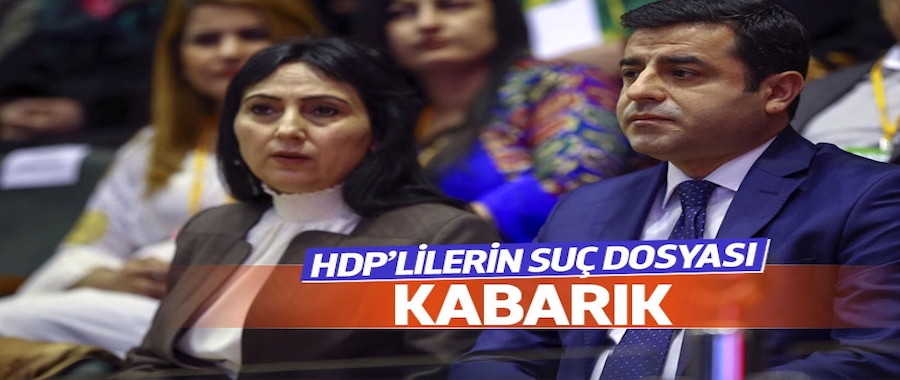 HDP'li milletvekillerinin suç dosyası kabarık!..