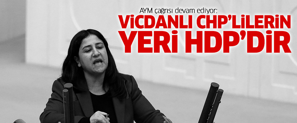 AYM çağrısı devam ediyor: 'Vicdanlı CHP'lilerin yeri artık HDP'dir'