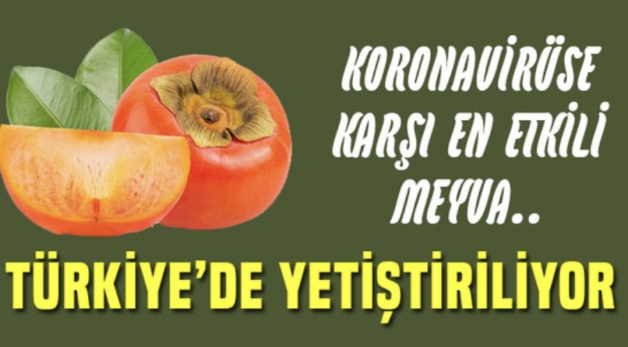 İşte koronavirüse karşı en etkili meyve: Trabzon hurması
