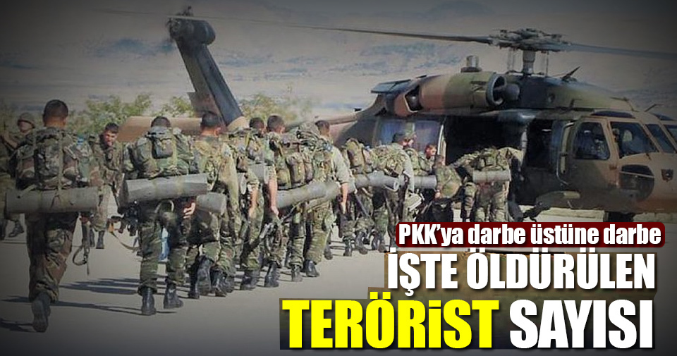 İşte öldürülen PKK'lı sayısı..