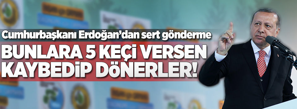 Erdoğan: Bunlara 5 keçi emanet edin kaybedip dönerler..
