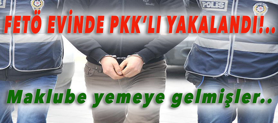 FETÖ evinde kalan PKK'lı yakalandı