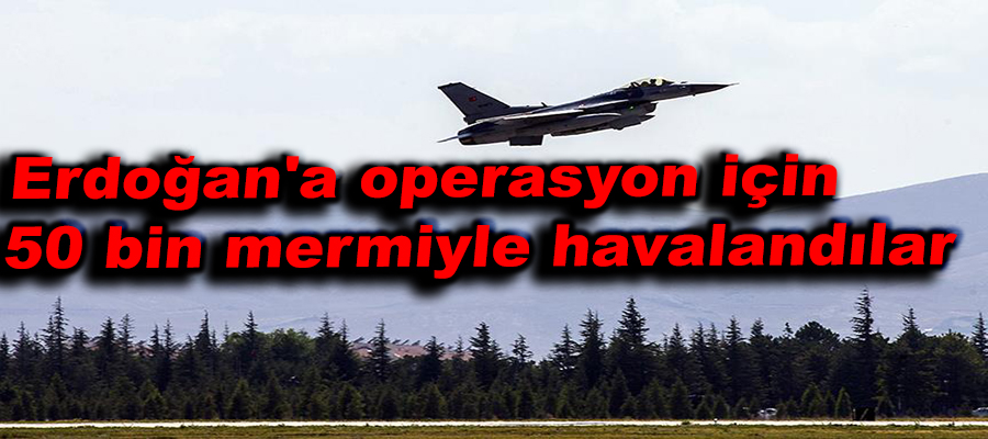 Cumhurbaşkanı Erdoğan'a operasyon için 50 bin mermiyle havalandılar!