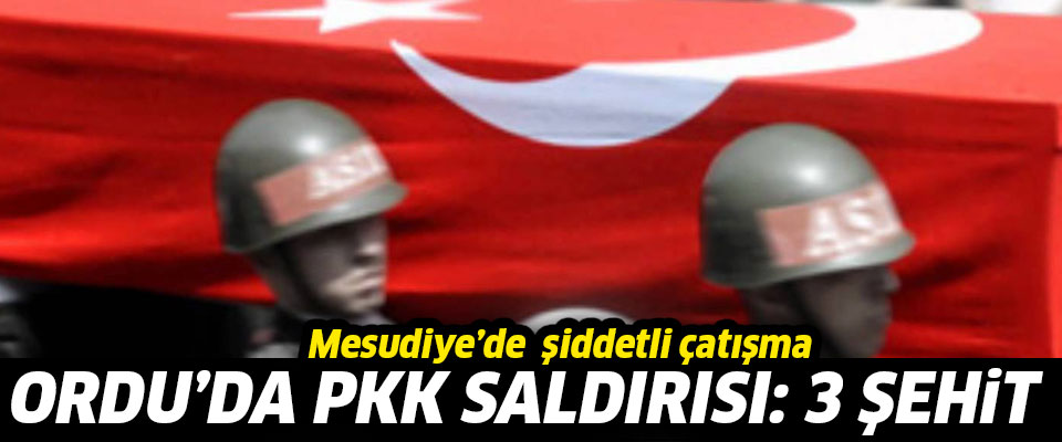 Ordu Mesudiye'de PKK saldırısı: 3 şehit