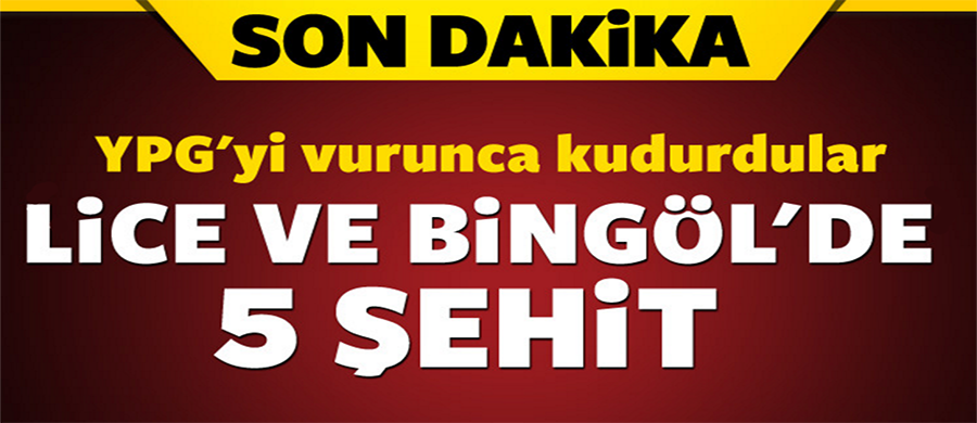Diyarbakır ve Bingöl'de 5 şehit!..