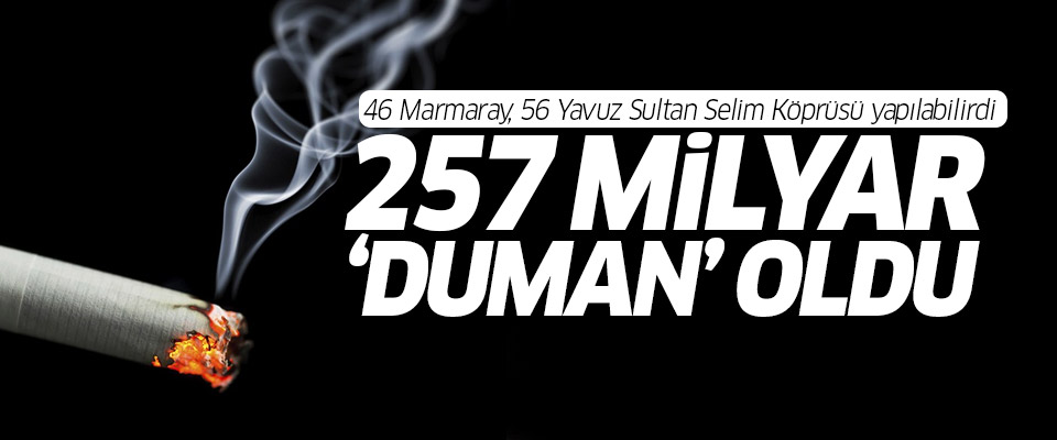 10 yılda 257 milyar lira 'duman' oldu..