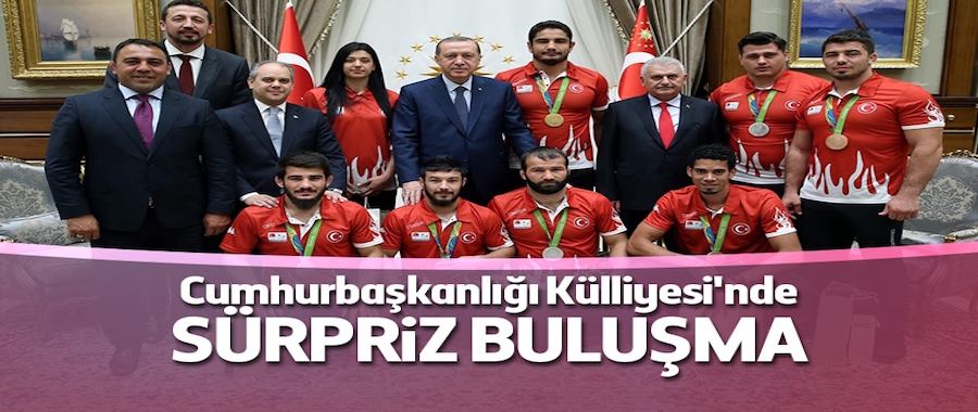 Cumhurbaşkanı Erdoğan, Rio'da madalya kazanan sporcuları kabul etti