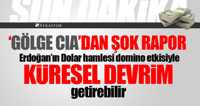 Stratfor: Erdoğan küresel sistemi değiştiriyor! Dolar hamlesi domino etkisi yaparsa...