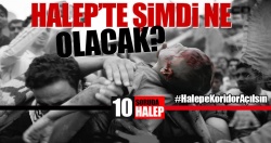 10 soruda Halep!