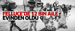 Felluce'de 12 bin aile evinden oldu