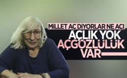 Alev Alatlı: Türkiye'nin karnı doydu