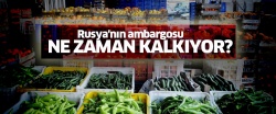 Rusya'nın ambargosu ne zaman kalkıyor?