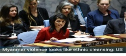 Myanmar violence looks like ethnic cleansing: US