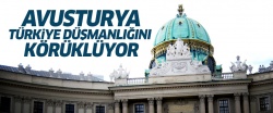 Avusturya, Türkiye düşmanlığını körüklüyor