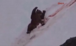 Öldürmekten zevk alıyorlar!..