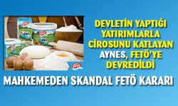 Mahkemeden FETÖ lehine skandal AYNES kararı!..