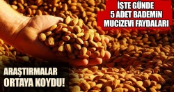 Bademin faydaları