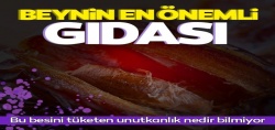 Bu besinler tüketildiği andan itibaren beyni gençleştiriyor!..