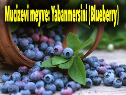 Mucizevi meyve: Yabanmersini (Blueberry)