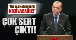Cumhurbaşkanı Erdoğan: Bu işi kökünden kazıyacağız!..