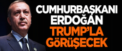Cumhurbaşkanı Erdoğan, Donald Trump'la görüşecek..