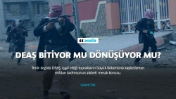 DEAŞ bitiyor mu dönüşüyor mu?