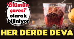 Her derde deva: Ekinezya