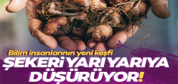 Bilim insanlarının yeni keşfi: "Şekeri yarı yarıya düşürüyor"