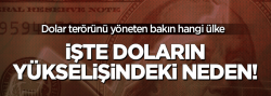 İşte Dolardaki yükselişin arkasındaki ülke!..
