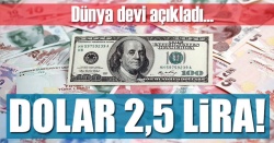 Goldman Sachs: Doların ederi 2,50 TL...
