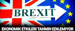 'Brexit'in ekonomik etkisi tahmin edilemiyor'