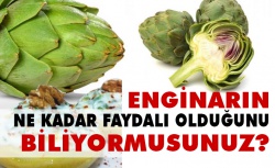 Karaciğeri temizleyen enginarın faydaları nelerdir?