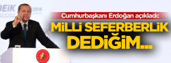 Cumhurbaşkanı Erdoğan: Milli seferberlik eline silahı al çık değil