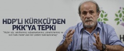 HDP'li Ertuğrul Kürkçü'den PKK'ya tepki