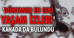 Dünyanın en eski hayat izi Kanada’da bulundu