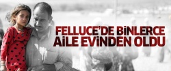 Felluce'de binlerce aile evinden oldu