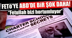 FETÖ'ye ABD'de bir şok daha!..