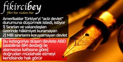 Fikirci Bey yazdı: ACİZ DEVLET