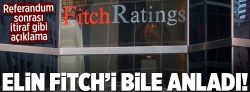 Elin Fitch'i bile anladı da..
