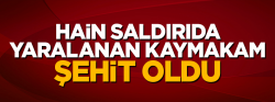 Hain saldırıda yaralanan Derik Kaymakamı şehit oldu