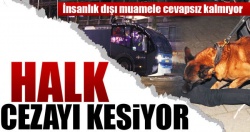 Halk cezayı kesiyor!..